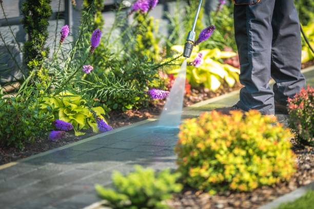 Best Dumpster Area Cleaning  in Heyville, AL