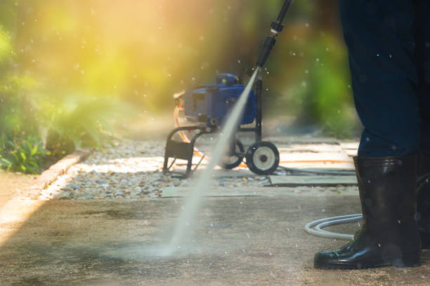 Professional Pressure Washing in Haleyville, AL